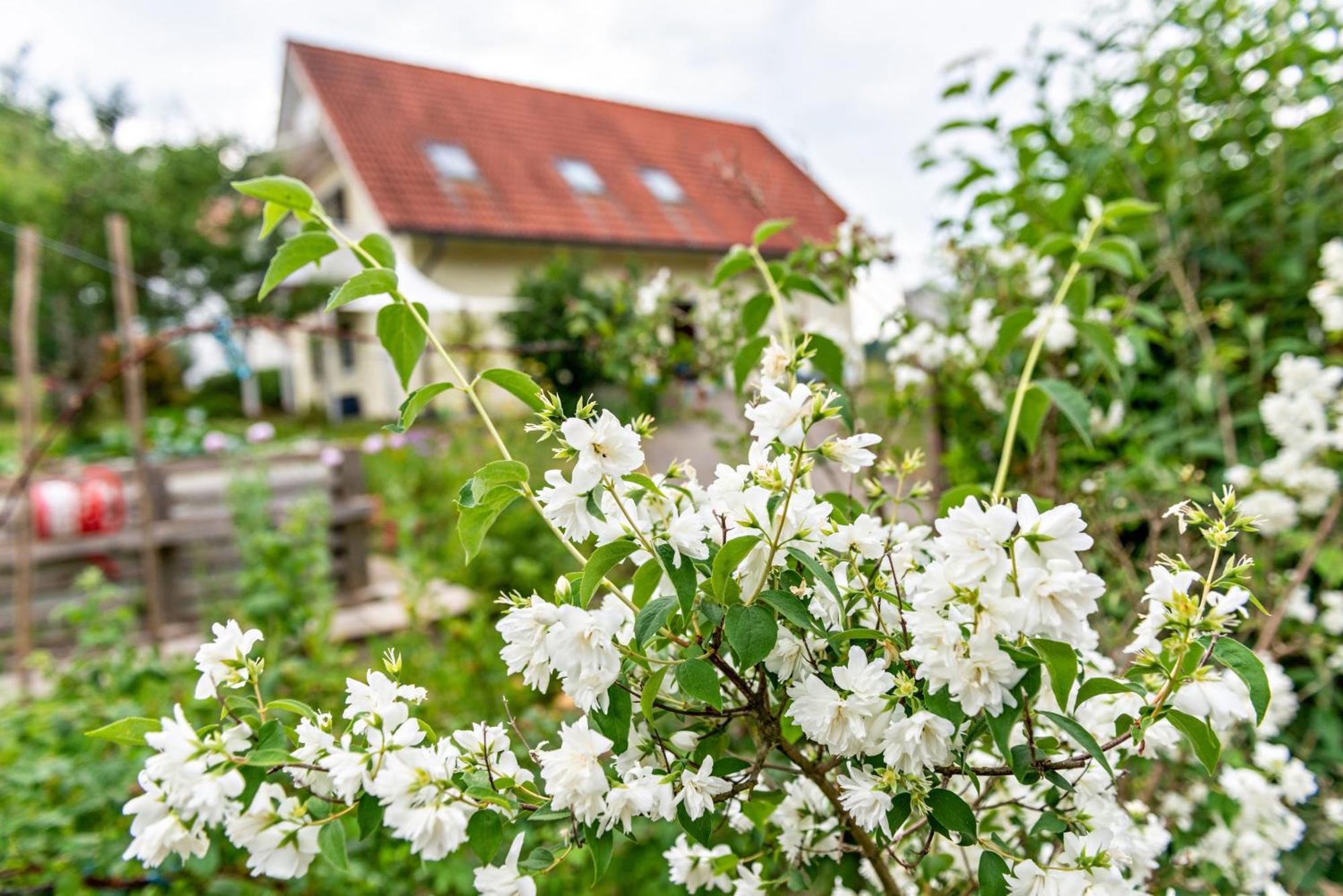 Beutenmuehle Straussenfarm Dach Owingen Exterior foto